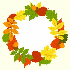 A frame made of autumn leaves. The leaves are oak, birch, aspen, maple. Autumn theme. Space for copying. Applicable for printing, posters, postcards, websites. Vector illustration.