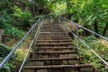 Concrete stairs with steel handrails in a dense forest, going up.