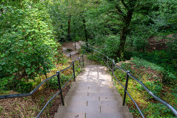 Fototapeta premium Concrete stairs with steel handrails in a dense forest, going down.