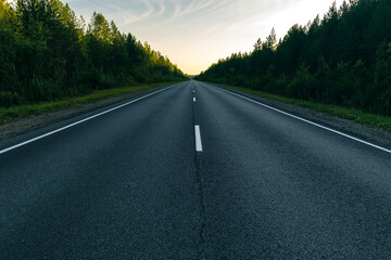 Asphalt Road In Green Forest.