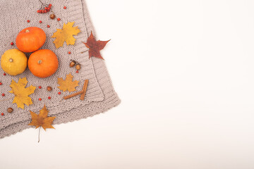 Autumn flat lay. Pumpkins and maple leaves viburnum and cinnamon and acorns on a gray plaid on a white background. Copy space