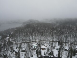 Winter Forst Foggy Drone Shots