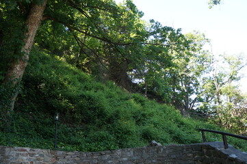 Burgruine und die umliegende Umgebung 