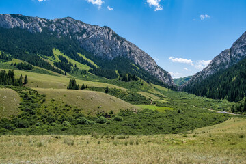 Naklejka premium landscape in the mountains