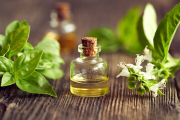 A bottle of basil essential oil with fresh blooming basil twigs