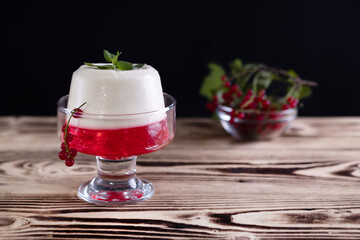 Italian dessert panna cotta with red currant jelly and mint