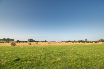 Fototapeta premium Straw bales on agricultural field with patch of grass at the front.
