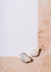 Mock up, white template with shells on beige background. Summer concept