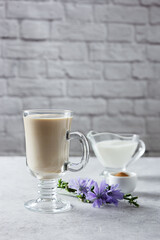 Healthy hot chicory drink with milk in the glass cup , crushed chicory root in small white bowl, chicory flowers and milk in glass jug on concrete background. Side view
