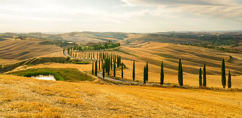 Landscape on the hills of Val d'Orcia - Italy. Cypress trees at sunrise. Tuscany beautiful landscape. Photo stock