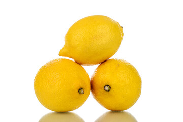 Three juicy bright yellow lemons, close-up, isolated on white.