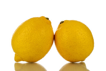 Two juicy bright yellow lemons, close-up, isolated on white.