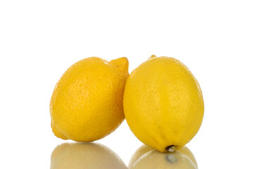 Two juicy bright yellow lemons, close-up, isolated on white.