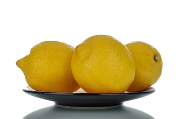 Three juicy lemons on a ceramic black saucer, close-up, isolated on white.