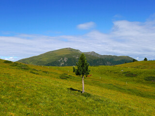 bucolico panorama montano in Val Badia in Italia d'estate
