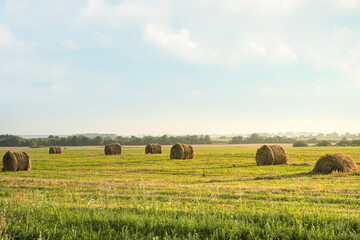 Fototapeta na wymiar Hay bales in the sunset. Countryside natural landscape with hay bail harvesting in golden field landscape. Rural scene agriculture field with sky. Hay roll on meadow against sunset background