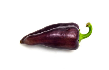 One purple pepper on a white background. Vegetables after harvest