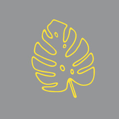 Illustration of a yellow leaf monstera isolated on a gray background