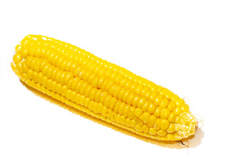 Corn on a white background. Selective focus. Isolated image.