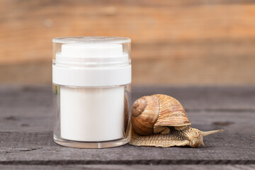 cream with snail mucin, jar of cream next to the snail