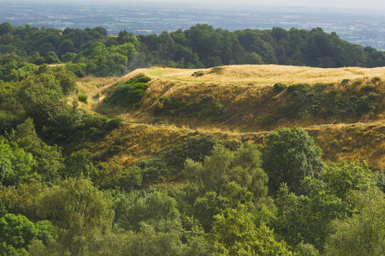 motte-and-bailey ruins