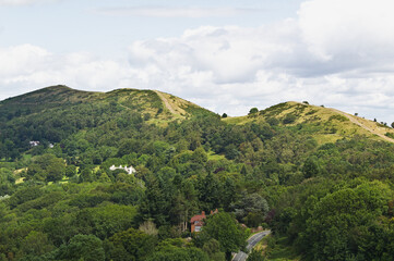 Obraz premium landscape with trees and clouds