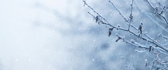 Frost covered tree branch on blurred background during snowfall, copy space