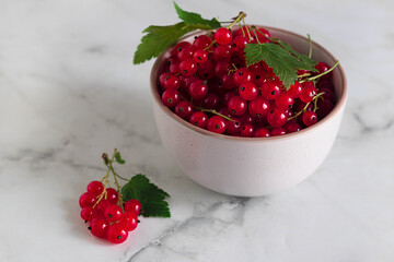 Fresh ripe red currant berries in a bowl on a marble background.