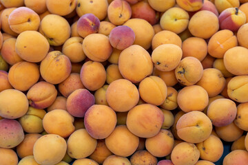 Ripe apricots fruits background yelow red apricots pattern