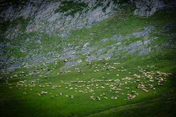 col de Anéou, Ayous lakes tour, Pyrenees National Park, Pyrenees Atlantiques, France