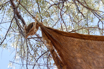 the corner of the fabric awning for protection from the sun tied to a tree