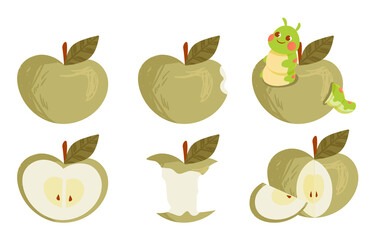 Set of green ripe apple collections whole and bitten on white background. Concept of different states of apples. Eaten, with worms or cut. Flat cartoon vector illustration