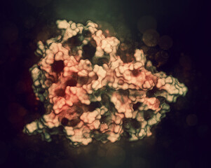 Aromatase (estrogen synthase) enzyme. 3D Illustration.