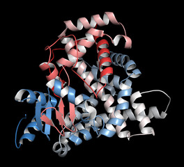 Aromatase (estrogen synthase) enzyme. 3D Illustration.