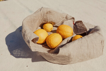Lemons in canvas farming bag