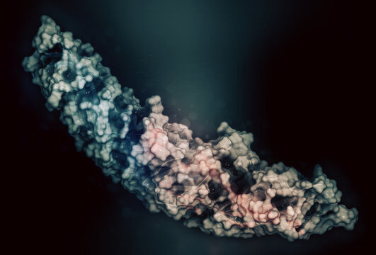 Cholesteryl ester transfer protein (CETP), 3D rendering