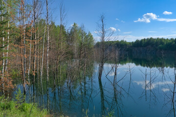 Picturesque summer landscape by the forest lake.