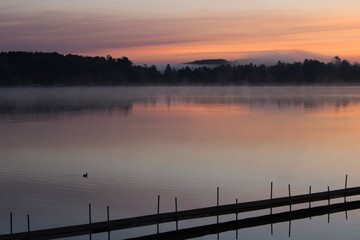 Lake Sunrise and Waterfowl