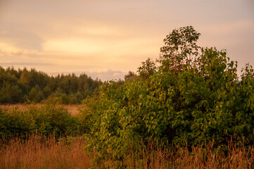 sunset in the mountains