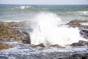 The Sea's Blow Hole 