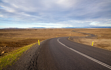 Fototapeta na wymiar Asphalt road zigzags to the horizon among yellow fields under blue sky. Iceland.