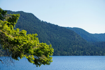 Fototapeta na wymiar Washington Lake Beauty