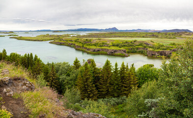 Fototapeta na wymiar Forest on hills near river with panoramic views on river valley. Iceland.