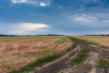Fototapeta na wymiar Mown wheat field against dramatic sky background, rural landscape