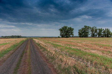 Fototapeta na wymiar Mown wheat field against dramatic sky background, rural landscape