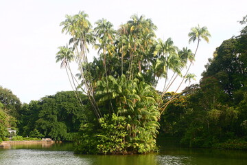 Botanic Garden Singapore