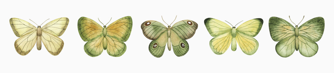Watercolor green butterfly set. Hand drawn summer illustration for greeting card, invitation, wall art, stickers and other.