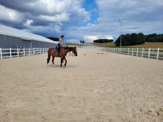 Horse riding learning horse farm
