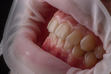 Dentistry