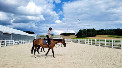 Horse riding learning horse farm